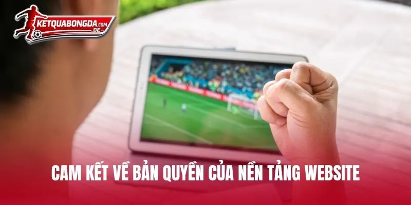 Cam kết về bản quyền của nền tảng website